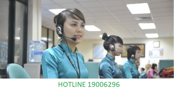hotline 19006296
