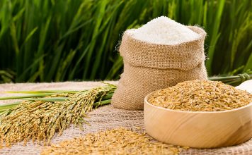 DỊCH VỤ CÔNG BỐ CHẤT LƯỢNG SẢN PHẨM GẠO