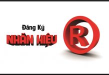 Dịch vụ đăng ký nhãn hiệu (logo) trọn gói -nhanh, bao gồm tra cứu Dịch vụ đăng ký nhãn hiệu thương hiệu logo độc quyền