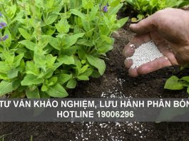 Tư vấn thủ tục, hồ sơ khảo nghiệm phân bón