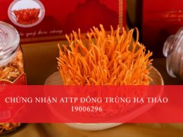 cong bo dong trung ha thao