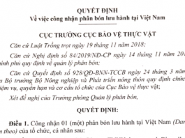 Quyet dinh luu hanh phan bon